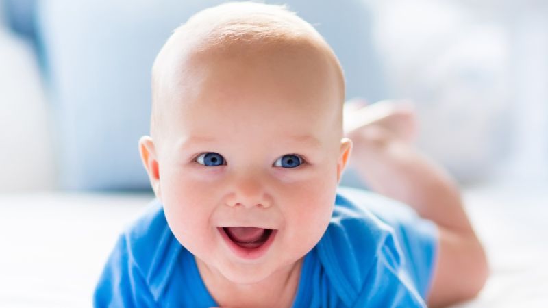 Shutterstock 347956370 1